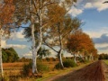Cluiche Russian Road