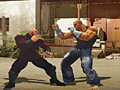 Cluiche The Perfect Fighter