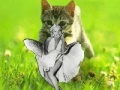 Cluiche Kitty saevs the day!