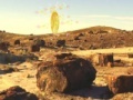 Cluiche Treasure Hunt-Desert Forest
