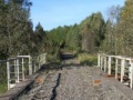 Cluiche Diamond Bridge Escape