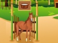 Cluiche Horse Care Apprenticship