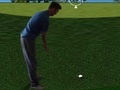 Cluiche Flash Golf 3D