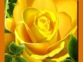 Cluiche Yellow Roses