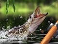 Cluiche Morning catch