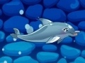 Cluiche My Dolphin Show 5