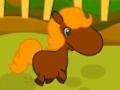 Cluiche Pony Races