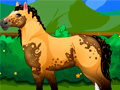 Cluiche Pony Dress Up