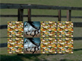 Cluiche Horse Memo Deluxe