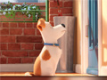 Cluiche Hidden Letters in The Secret Life of Pets