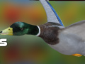 Cluiche Duck Hunter Autumn forest 