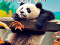 Cluiche Animal Habitats: Find Items
