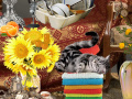 Cluiche Crazy Cat Lady