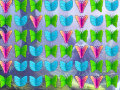 Cluiche Butterfly Collector