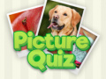 Cluiche 100 Pics