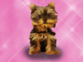 Cluiche Wash Pets Princess Kids    