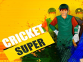 Cluiche Super Cricket      