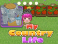 Cluiche My County Life