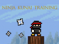Cluiche Ninja Kunai Training