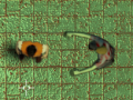 Cluiche Maze Of Infection