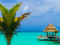 Cluiche Tropical Paradise