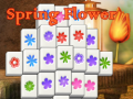 Cluiche Spring Flower