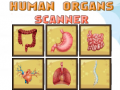 Cluiche Human Organs Scanner