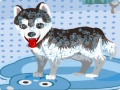 Cluiche My Cute Dog Bathing