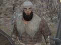 Cluiche Vikings Aggression