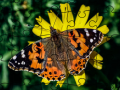Cluiche Jigsaw Puzzle: Spring