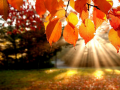 Cluiche Jigsaw Puzzle: Autumn