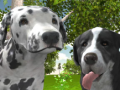 Cluiche Dog Simulator 3d