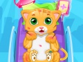Cluiche Little Cat Doctor