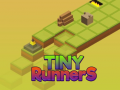 Cluiche Tiny RunnerS