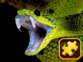 Cluiche Snake Puzzle Challenge