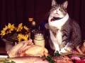 Cluiche Funny Cats Puzzle