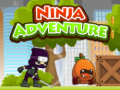 Cluiche Ninja Adventure