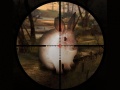 Cluiche Classical Rabbit Sniper Hunting 2019