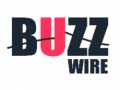 Cluiche Buzz Wire