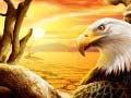 Cluiche Eagle