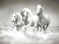 Cluiche Horses Puzzle