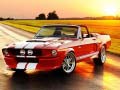 Cluiche Fancy Mustang Differences