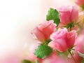 Cluiche Pink Roses