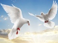 Cluiche Flying Birds