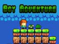 Cluiche Boy Adventure
