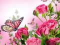 Cluiche Butterflies Puzzle