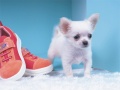 Cluiche Lovely Puppy Puzzle