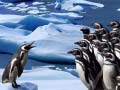 Cluiche Penguins Slide