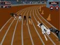 Cluiche Crazyl Dog Racing Fever