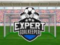 Cluiche Expert Goalkeeper